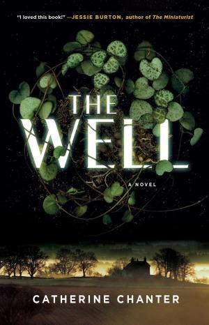 Cover of the book The Well by Brad Dennison