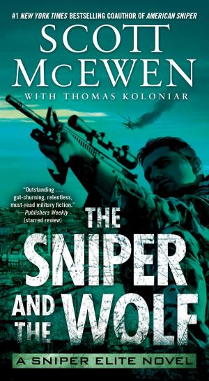 Cover of the book The Sniper and the Wolf by Judith Lederman, Candida Fink