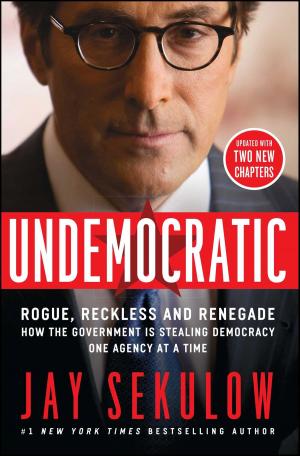 Cover of the book Undemocratic by Mindy Ferguson
