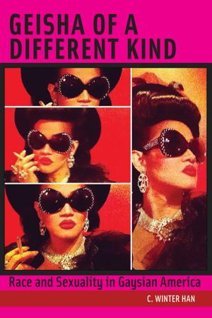 Cover of Geisha of a Different Kind