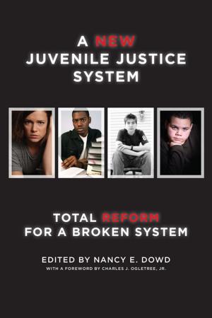 Cover of the book A New Juvenile Justice System by Jules Lobel