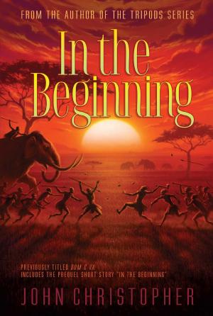 Cover of the book In the Beginning by Carolyn Keene