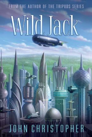 Cover of the book Wild Jack by Carolyn Keene