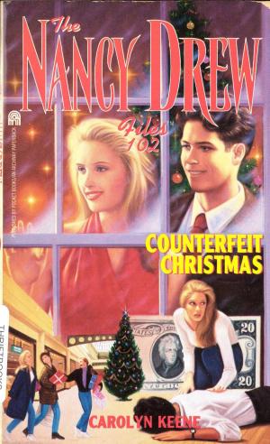Cover of the book Counterfeit Christmas by Martina Boone