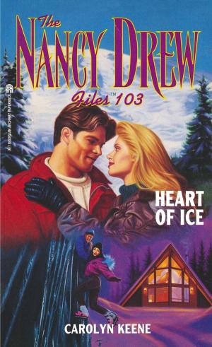 Cover of the book Heart of Ice by R.G. Johnston