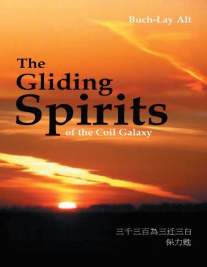 Cover of the book The Gliding Spirits of the Coil Galaxy by Martha Wegner