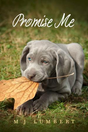 Cover of the book Promise Me by Richard B. Scoville
