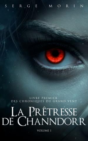 Cover of the book La Prêtresse de Channdorr by David J. LaGuardia