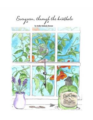Cover of the book Evergreen, Through the Knothole. by Linda Bastian Barney