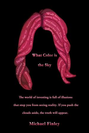 Cover of the book What Color Is the Sky by Francesco Mugnai