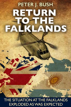 Cover of the book Return to the Falklands by Clarence DeMar