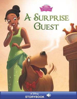 Cover of the book Princess and the Frog: A Surprise Guest by Candace Ryan