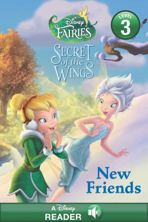 Book cover of Disney Fairies: New Friends