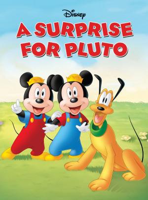 Cover of the book A Surprise for Pluto by Alan Lawrence Sitomer