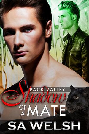 Cover of the book Shadow Of A Mate by A.C. Ellas