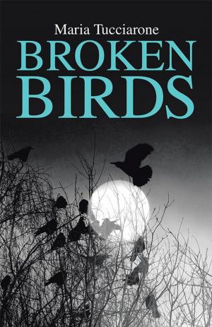 Cover of the book Broken Birds by Sally Iyobebe