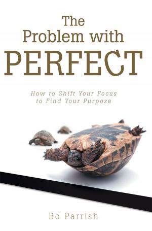 Cover of the book The Problem with Perfect by JJ Farmer