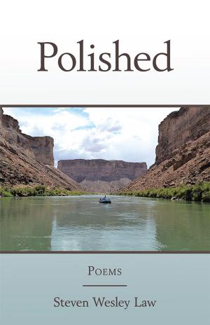 Cover of the book Polished by Andrew J. Kirby