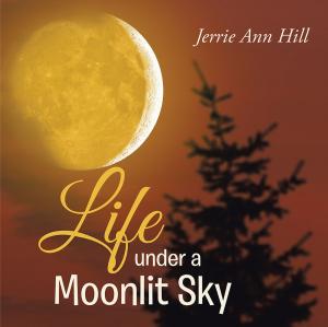 Cover of the book Life Under a Moonlit Sky by Dannie Hawley