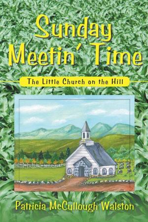 Cover of the book Sunday Meetin’ Time by Lucinda Berry Hill