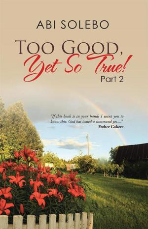 Cover of the book Too Good, yet so True! by Barry L. Lawton M. Div