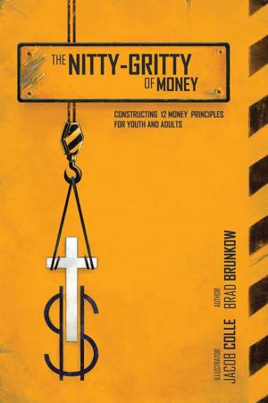 Cover of the book The Nitty-Gritty of Money by Jack Luchsinger
