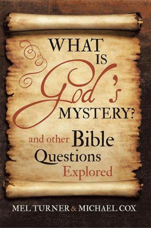 Cover of the book What Is God's Mystery? by J.T. Stilson