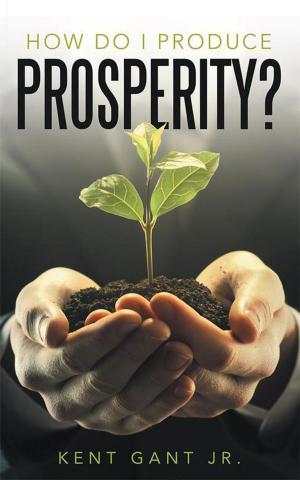 Cover of the book How Do I Produce Prosperity? by Pearl Nsiah-Kumi