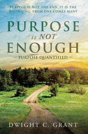 Cover of the book Purpose Is Not Enough by Dr. Kristin Rose