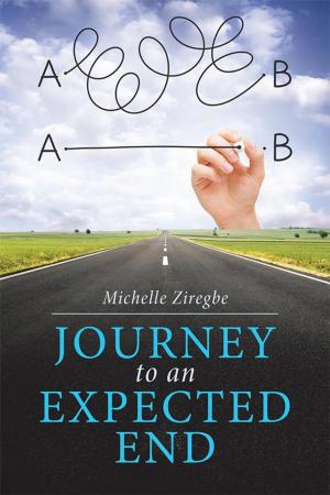 Cover of the book Journey to an Expected End by Everest Bryce