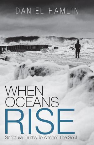 Book cover of When Oceans Rise