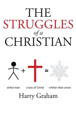bigCover of the book The Struggles of a Christian by 