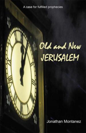 Cover of the book Old and New Jerusalem by Ivette Vasquez