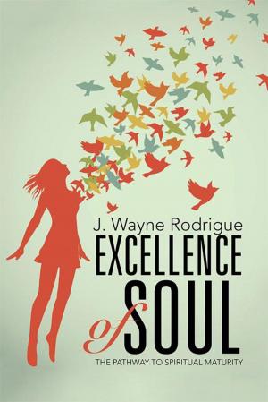 Cover of the book Excellence of Soul by Dr. Curtis E. Smith