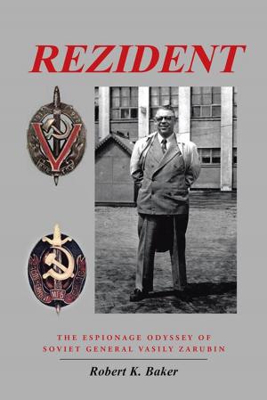 Cover of the book Rezident by Robert E. Slavin