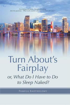 Cover of the book Turn About’S Fairplay by Fr. Steven Scherrer