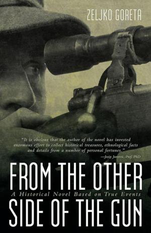 Cover of the book From the Other Side of the Gun by Greg Alexander