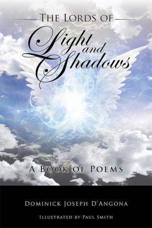 Cover of the book The Lords of Light and Shadows by J.D. Walthall