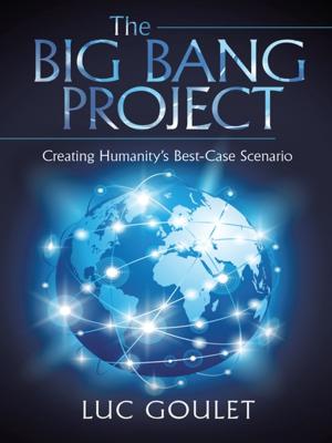 Book cover of The Big Bang Project