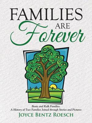 Cover of the book Families Are Forever by Richard T. Stanley
