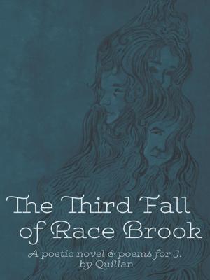 Cover of the book The Third Fall of Race Brook by Pearl Robinson