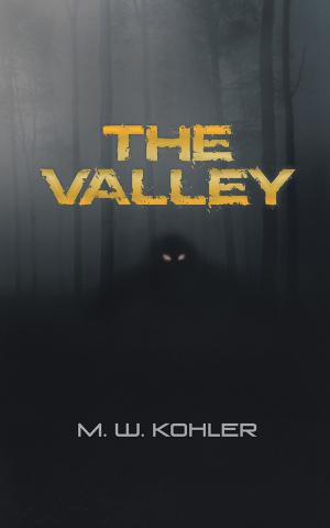 Cover of the book The Valley by Liam Walsh