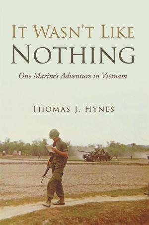 Cover of the book It Wasn’T Like Nothing by Jim Overturf