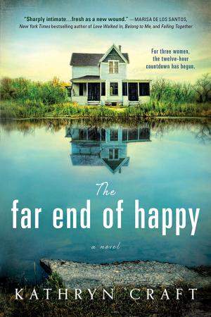 Cover of the book The Far End of Happy by Alecia Devantier