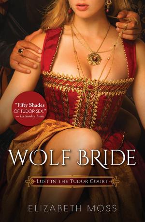 Cover of the book Wolf Bride by Andrea Montalbano