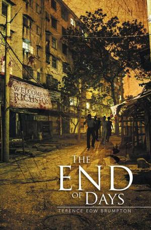 Cover of the book The End of Days by Adam O’Keefe