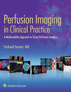 Cover of the book Perfusion Imaging in Clinical Practice by Geoffrey D. Rubin, Neil M. Rofsky