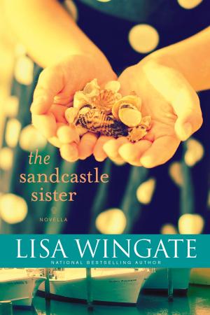 Cover of the book The Sandcastle Sister by CD Hussey