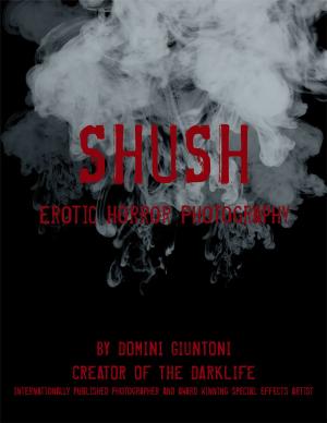 Cover of the book Shush by Pastor Stephen Kyeyune