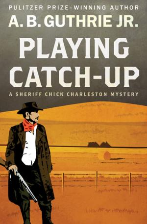 Cover of the book Playing Catch-Up by Thomas Berger